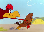 Charlie Le Coq - image 10