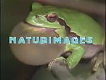 Naturimages - image 1
