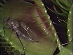 Naturimages - image 6